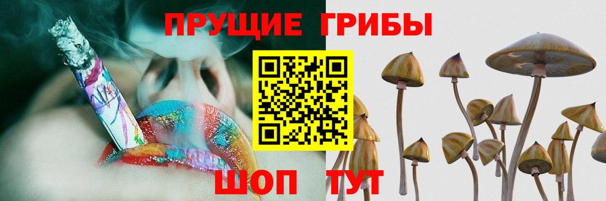 Галлюциногенные грибы ЛСД Добрянка